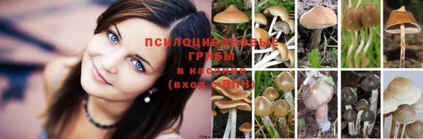дистиллят марихуана Новозыбков