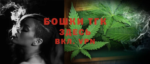 твердый Новодвинск