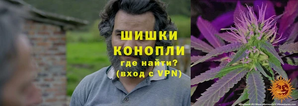твердый Новодвинск