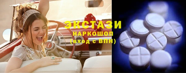 твердый Новодвинск