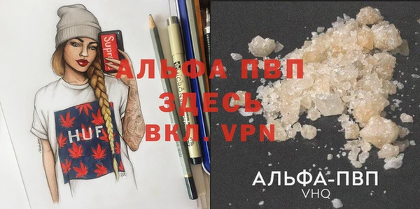 твердый Новодвинск
