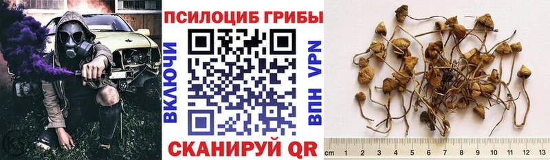 Псилоцибиновые грибы Psilocybine cubensis  что такое наркотик  мега как зайти  дарк нет телеграм  Стрежевой 