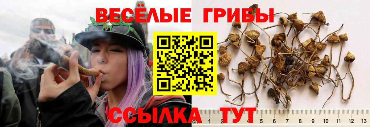 Галлюциногенные грибы Psilocybine cubensis  как найти   Псилоцибиновые грибы Psilocybe  Стрежевой  Вход с VPN 
