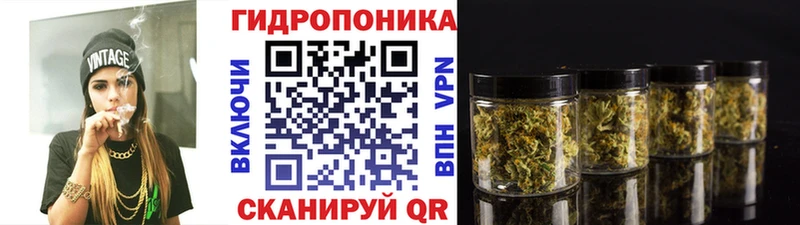 где купить наркоту  Стрежевой  Конопля Amnesia 