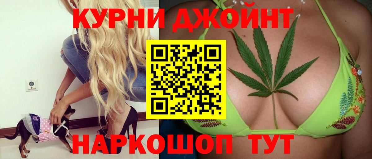Каннабис сатива  Вход с VPN  Конопля конопля  Стрежевой 